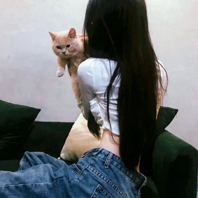 台北女子图鉴
