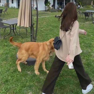 楚留香传奇